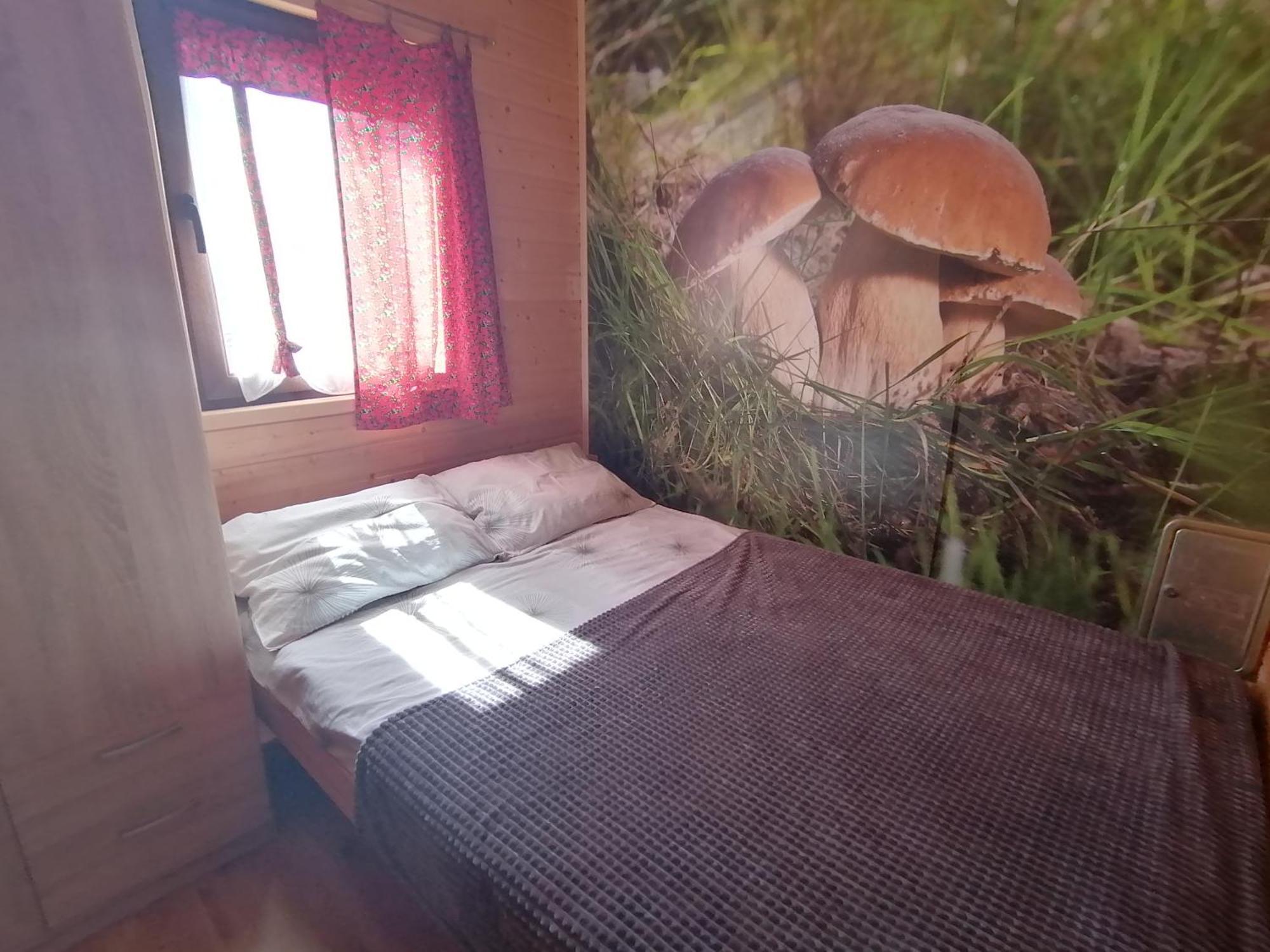 Domki Zlota Rybka Nad Jeziorem Solinskim Zawóz Eksteriør billede